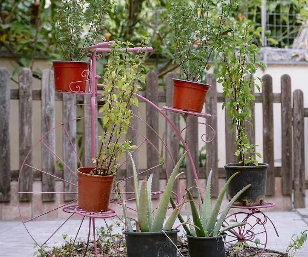 Armonia-art House شقة